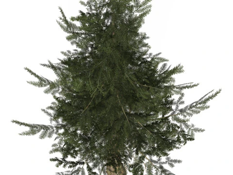 &Aacute;rvore pronta para jogo 39 Modelo 3D