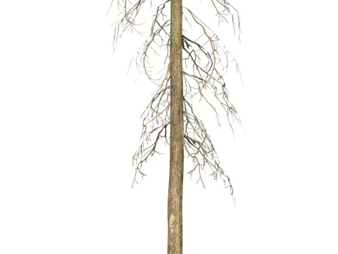 게임 레디 트리 40 3D 모델