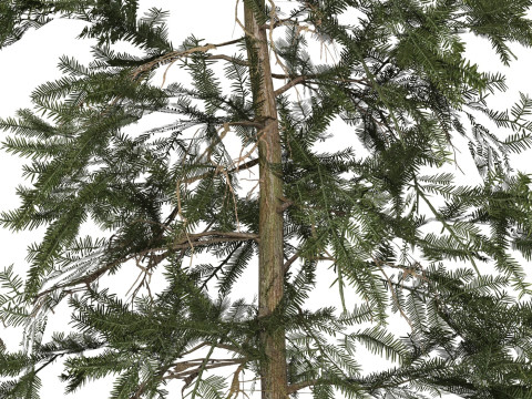Game Ready Tree 40 3Dモデル