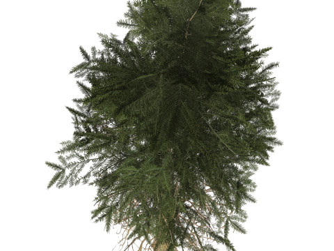 Game Ready Tree 40 3Dモデル