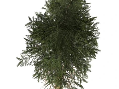 게임 레디 트리 40 3D 모델