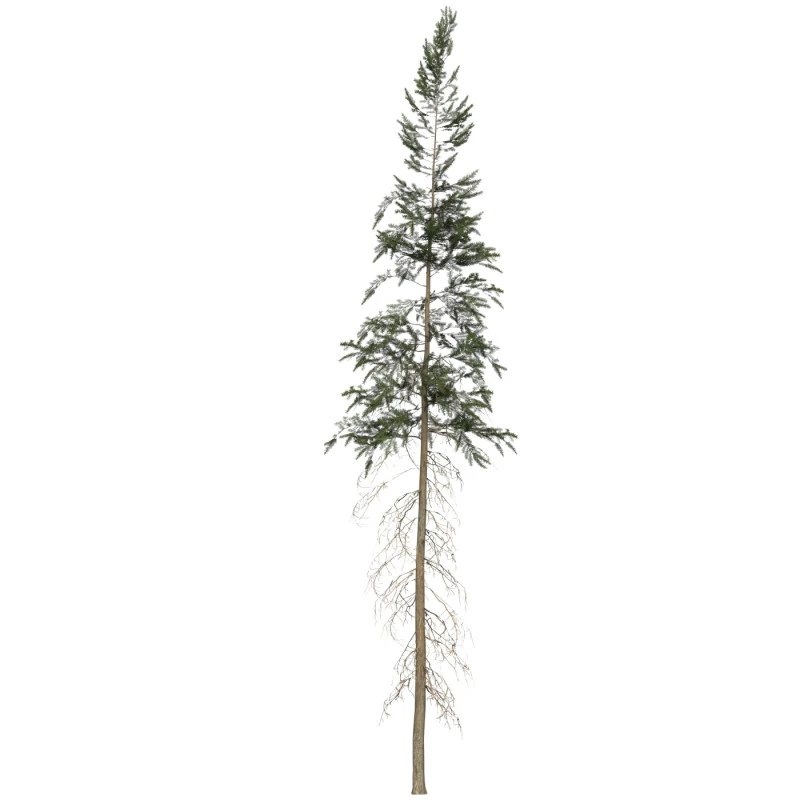 Game Ready Tree 41 3D Model .c4d .max .obj .3ds .fbx .stl .blend