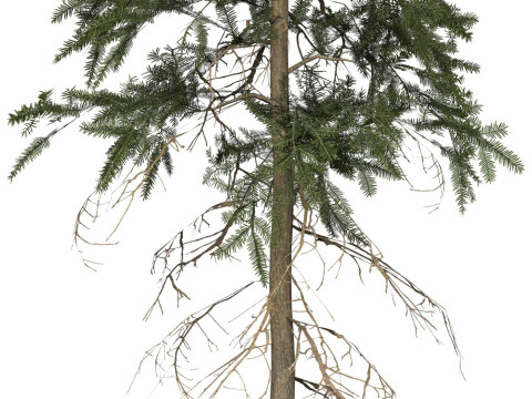 Game Ready Tree 41 Modèle 3D