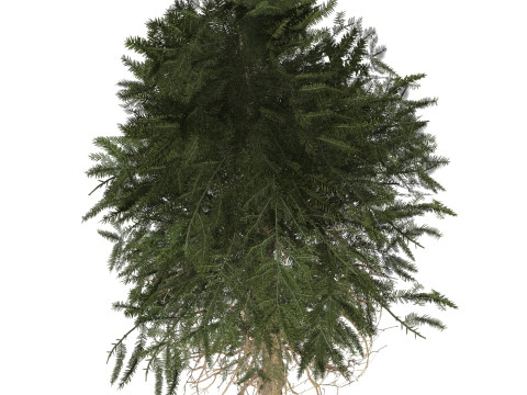 Game Ready Tree 41 Modèle 3D