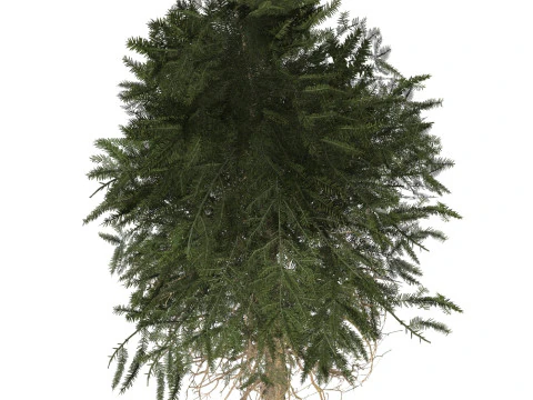 Game Ready Tree 41 3D Model