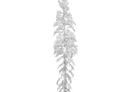 Game Ready Tree 41 3D Model