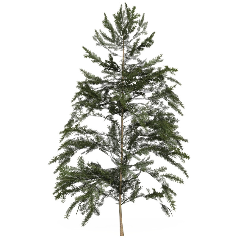 Game Ready Tree 42 Model 3D .c4d .max .obj .3ds .fbx .stl .blend 
