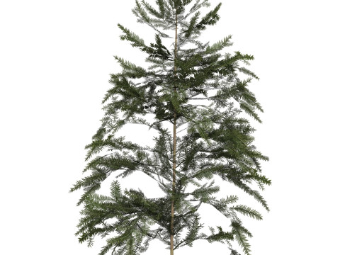 Game Ready Tree 42 3D Model