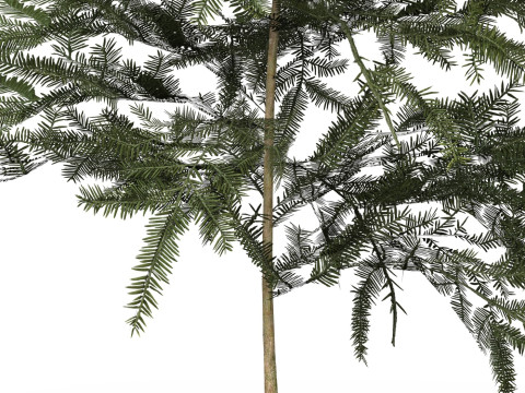 Game Ready Tree 42 Model 3D
