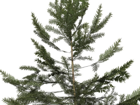 Game Ready Tree 42 Model 3D