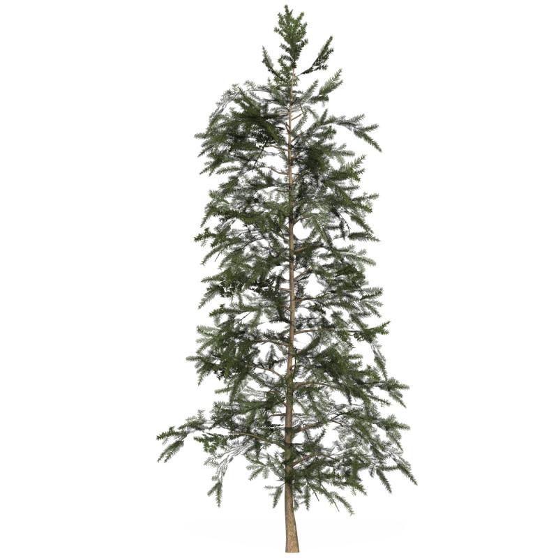 Game Ready Tree 43 Modèle 3D .c4d .max .obj .3ds .fbx .stl .blend 