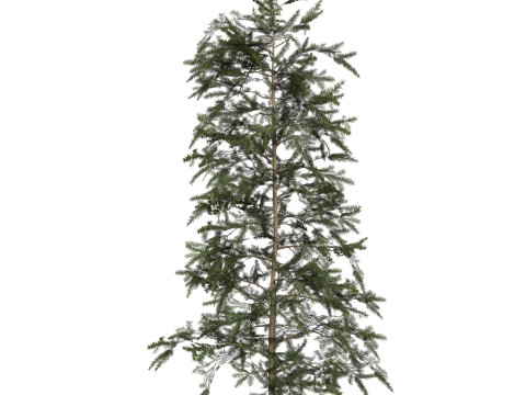 Game Ready Tree 43 3D मॉडल