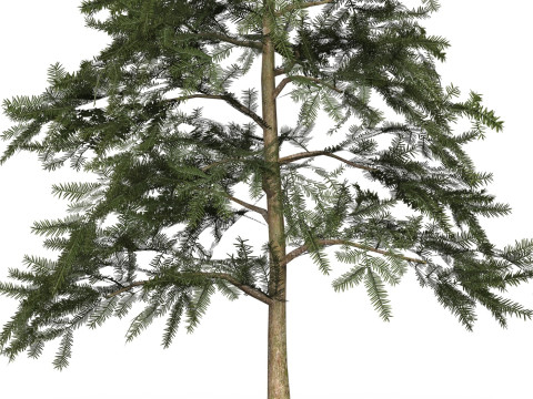 Game Ready Tree 43 Modèle 3D