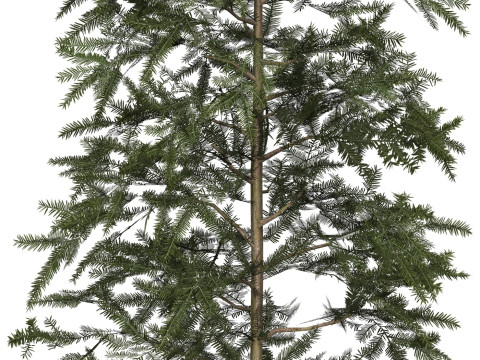 Game Ready Tree 43 Modèle 3D