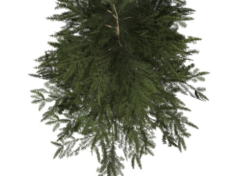 Game Ready Tree 43 Modèle 3D