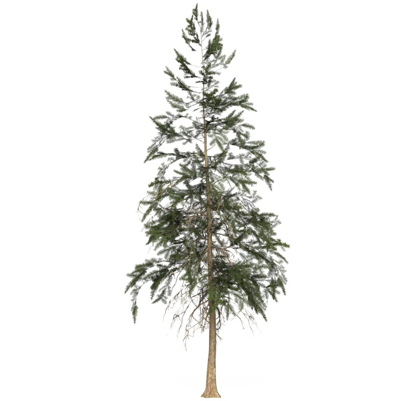 Game Ready Tree 44 3D Model .c4d .max .obj .3ds .fbx .stl .blend 