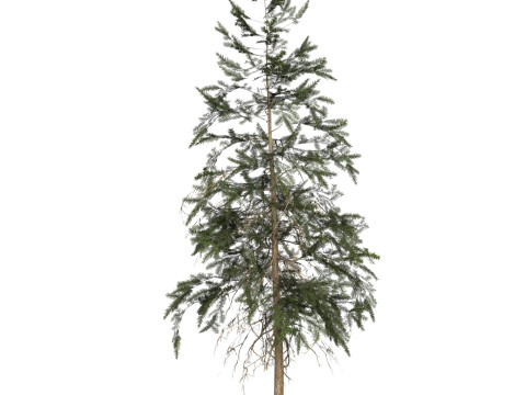 Game Ready Tree 44 Modelo 3D