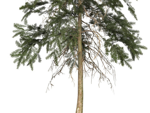 Game Ready Tree 44 3D-Modell
