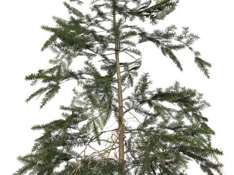 Game Ready Tree 44 3D Model