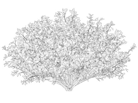 Game Ready Plant Bush 01 3D Model