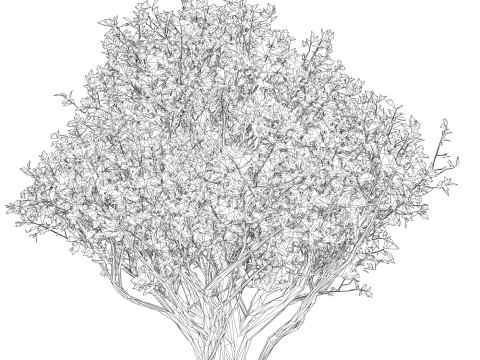Game Ready Plant Bush 02 Model 3D