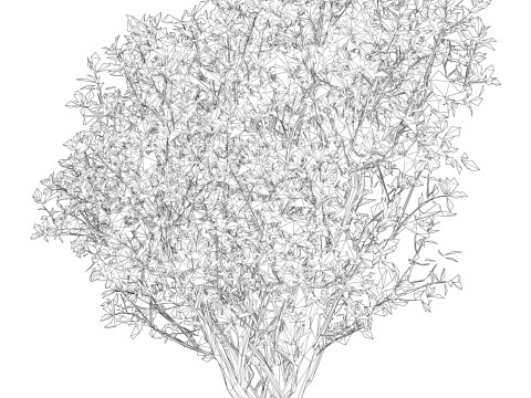 Game Ready Plant Bush 03 3D Model