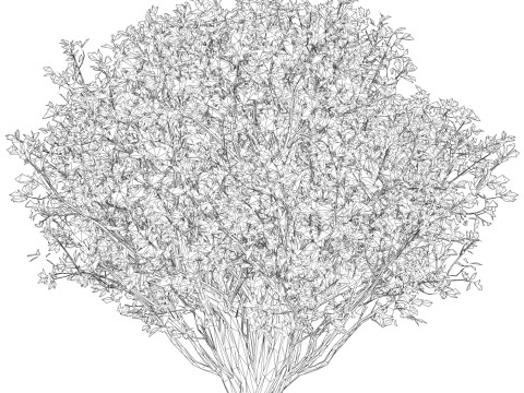 Game Ready Plant Bush 04 3D Model