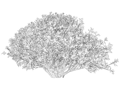 Game Ready Plant Bush 05 Modello 3D