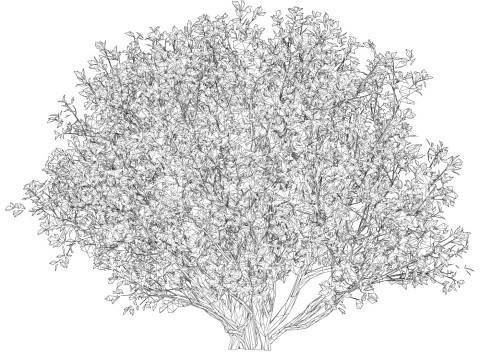 Game Ready Plant Bush 06 Modelo 3D