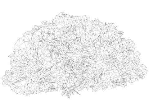 Game Ready Plant Bush 09 Model 3D
