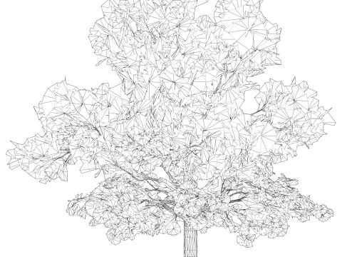 Game Ready Tree 45 3D Model