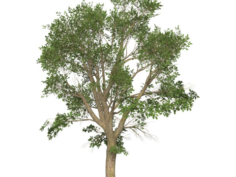 Game Ready Tree 46 Modelo 3D