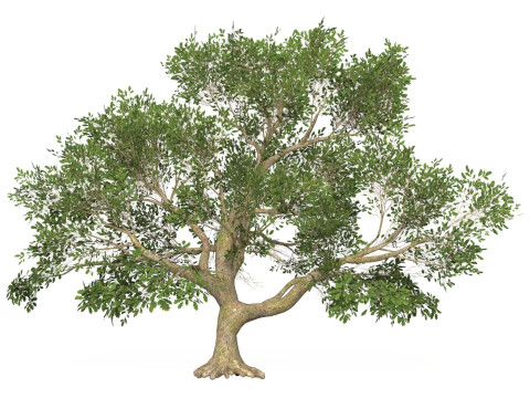 Game Ready Tree 47 Modelo 3D