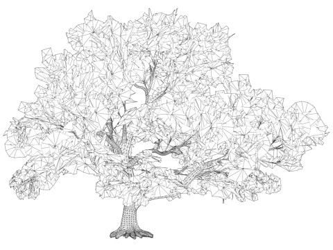 Game Ready Tree 47 3D Model