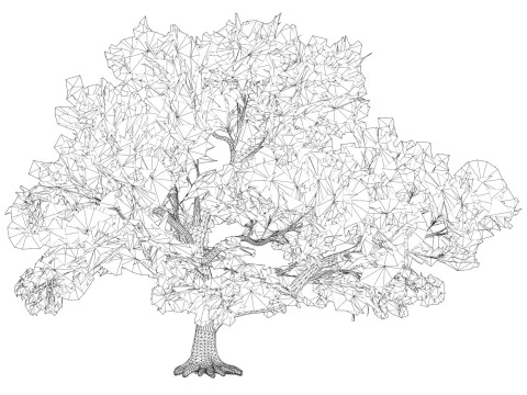 Game Ready Tree 47 3D Model