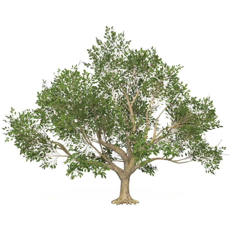 Gioco pronto Albero 48 Modello 3D .c4d .max .obj .3ds .fbx .stl .blend