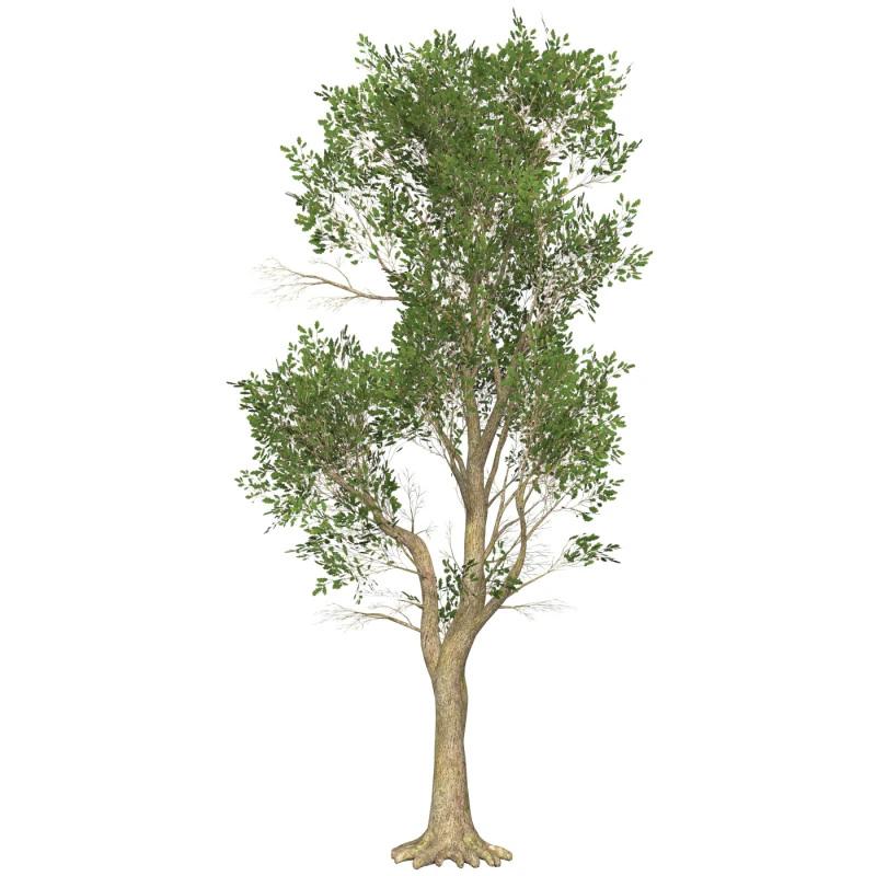 Game Ready Tree 49 3D Model .c4d .max .obj .3ds .fbx .stl .blend 