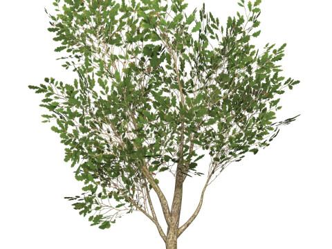 Game Ready Tree 52 Modelo 3D