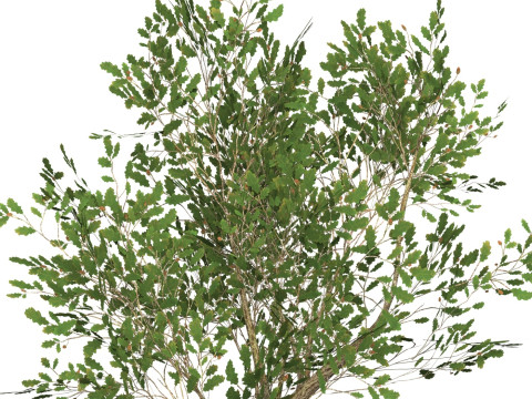 Game Ready Tree 52 3D 模型