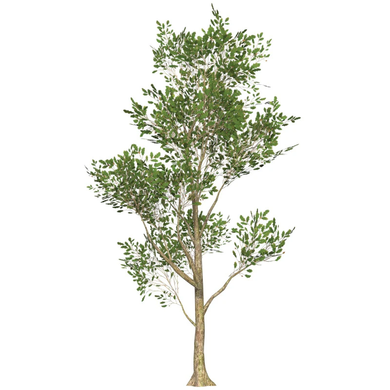 Game Ready Tree 53 3D Model .c4d .max .obj .3ds .fbx .stl .blend 