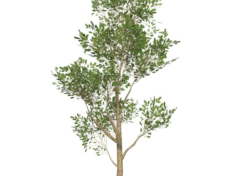 Game Ready Tree 53 Modelo 3D