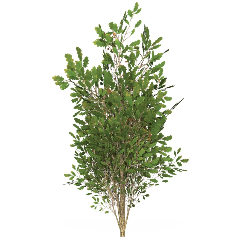 Game Ready Tree 54 3D Model .c4d .max .obj .3ds .fbx .stl .blend