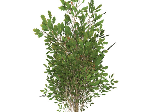 Game Ready Tree 54 Modelo 3D