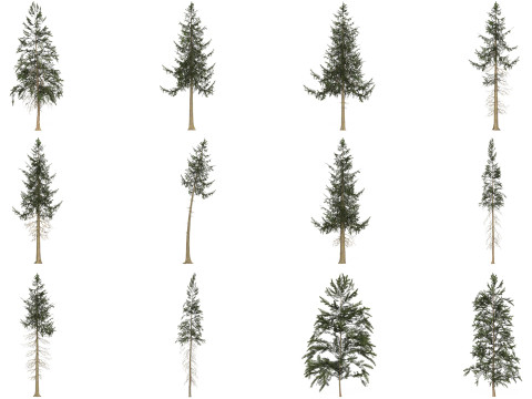 12 Game Ready Pine Tree Collection Modelo 3D