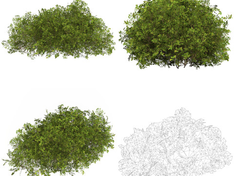 10 Game Ready Plant Bush Collection Modelo 3D