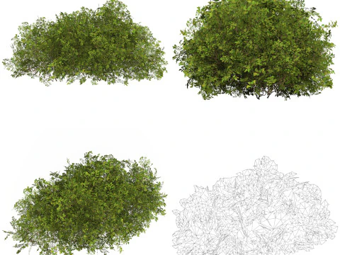 10 Game Ready Plant Bush Collection 3D Model