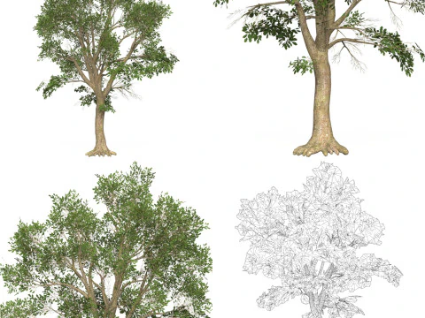10 Game Ready Big Tree Collection 3D Model
