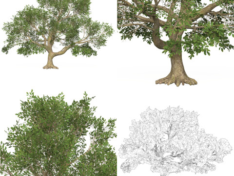 10 Game Ready Big Tree Collection 3D-Modell