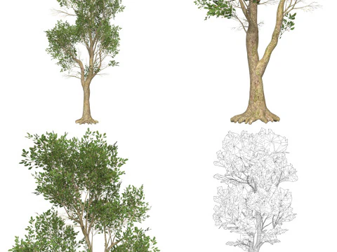 10 Game Ready Big Tree Collection 3D Model