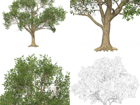 10 Game Ready Big Tree Collection 3D Model